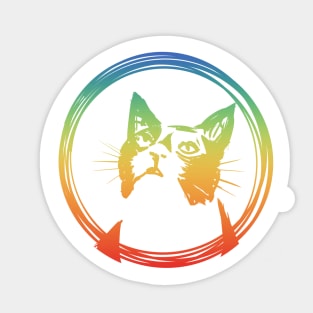 rainbow cat Sticker